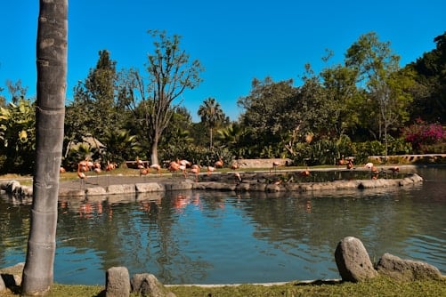 Sunrise Yoga at Lekki Beach