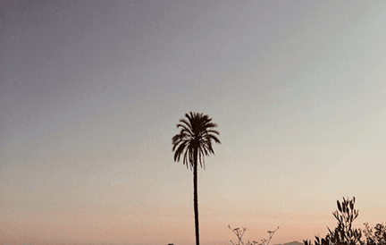 Maximizing Product Visibility